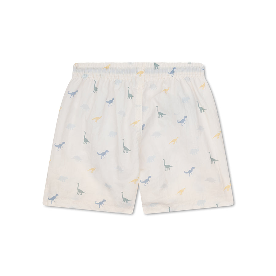 The back of  swim shorts with dinosaur pattern on a white background